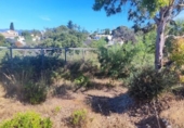 Parcela urbanizable en venta en la España, Marbella, ref: TR280040 foto