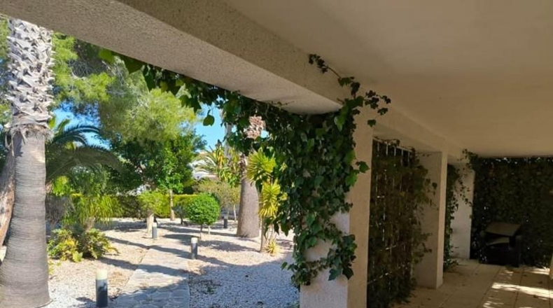Alicante - Torrevieja - 1100m2