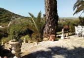 Casa de camp amb terreny en venda a la España, Barbate, ref.: TR315905 foto