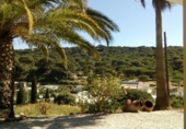 Casa de camp amb terreny en venda a la España, Barbate, ref.: TR315905 foto
