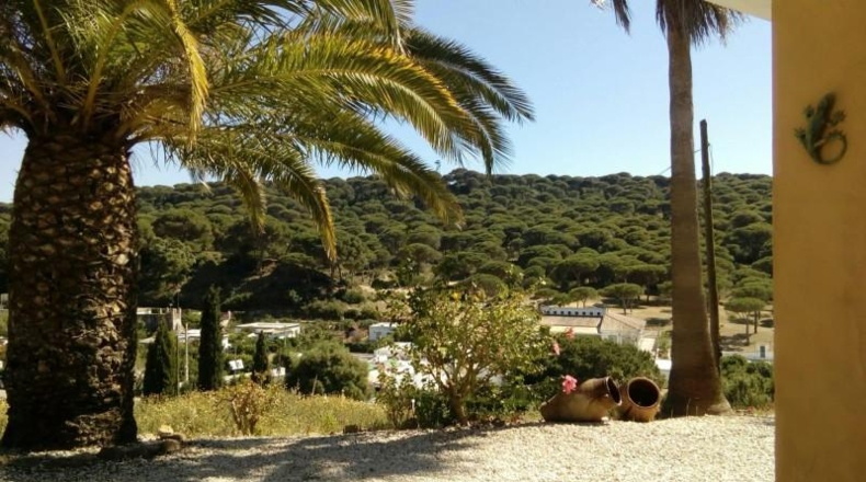 Cádiz - Barbate - 9000m2