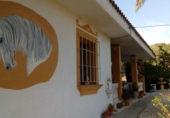 Casa de camp amb terreny en venda a la España, Barbate, ref.: TR315905 foto