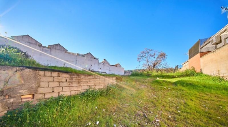 Granada - Granada - 1058m2