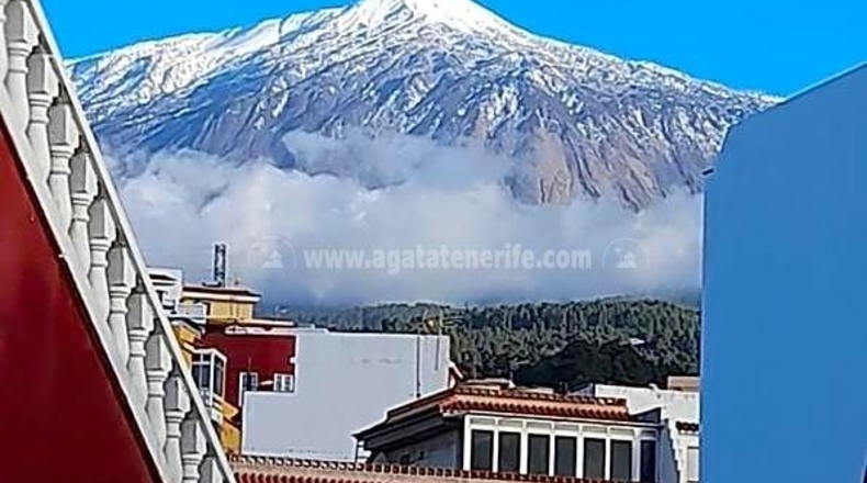 Santa Cruz de Tenerife - Icod de los Vinos - 636m2