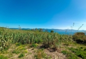 Land suitable for development for sale on España, Sanxenxo, ref: TR129871 photo