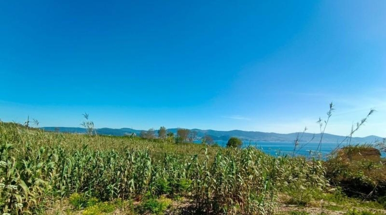 Pontevedra - Sanxenxo - 1750m2