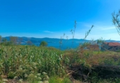 Land suitable for development for sale on España, Sanxenxo, ref: TR129871 photo