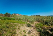 Land suitable for development for sale on España, Sanxenxo, ref: TR129871 photo