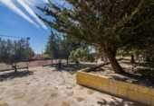 Xalet independent amb terreny en venda a la España, Elx, ref.: TR159674 foto