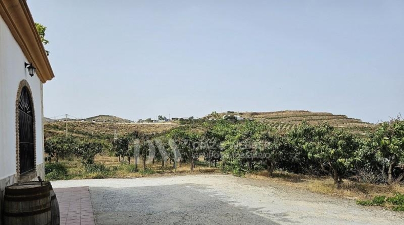 Málaga - Vélez-Málaga - 11500m2