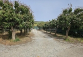 Xalet independent amb terreny en venda a la España, Vélez-Málaga, ref.: TR162653 foto