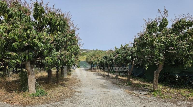 Málaga - Vélez-Málaga - 11500m2