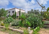 Terreny no urbanitzable en venda a la España, Mont-roig del Camp, ref.: TR127393 foto