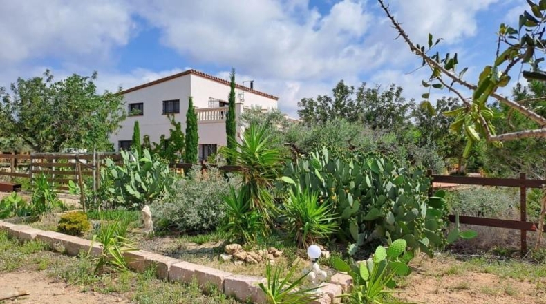 Tarragona - Mont-roig del Camp - 50000m2