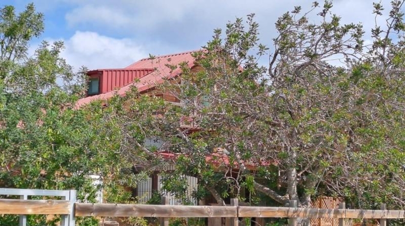 Tarragona - Mont-roig del Camp - 50000m2