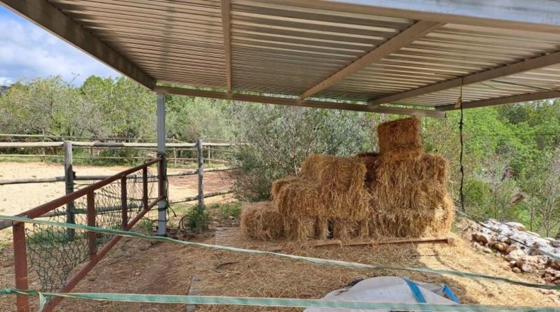 Tarragona - Mont-roig del Camp - 50000m2