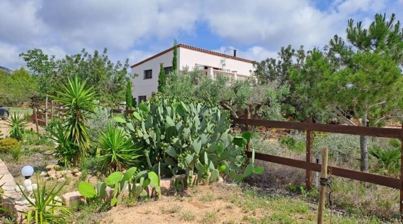 Tarragona - Mont-roig del Camp - 50000m2
