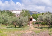 Terreny no urbanitzable en venda a la España, Mont-roig del Camp, ref.: TR127393 foto