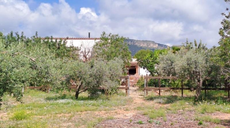 Tarragona - Mont-roig del Camp - 50000m2