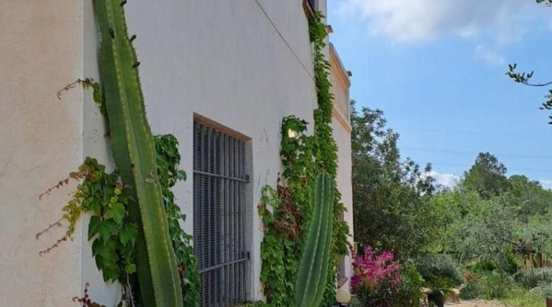Tarragona - Mont-roig del Camp - 50000m2