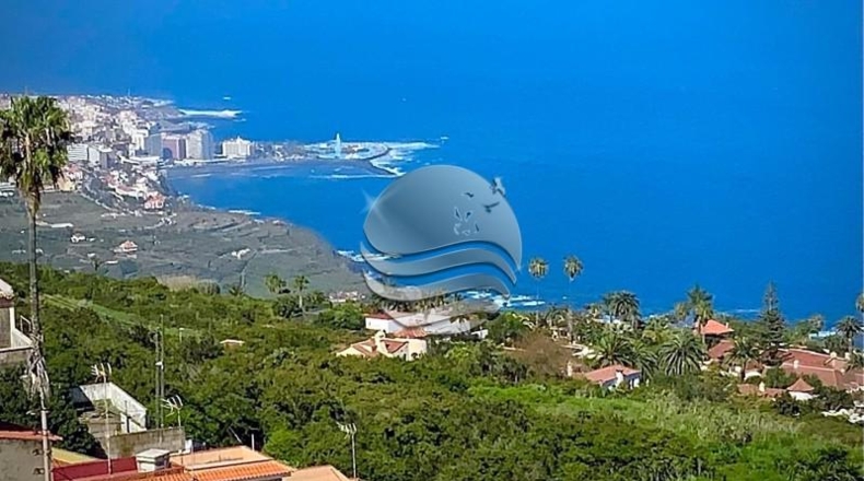 Santa Cruz de Tenerife - Santa Úrsula - 1200m2