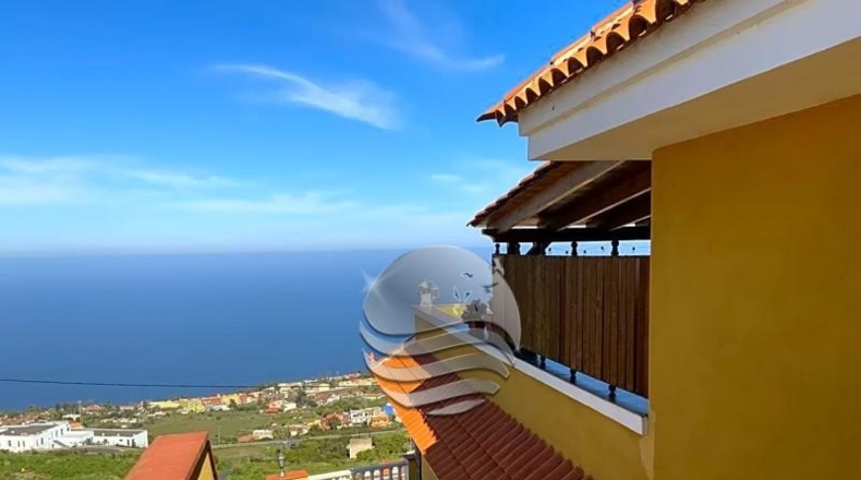 Santa Cruz de Tenerife - Santa Úrsula - 1200m2