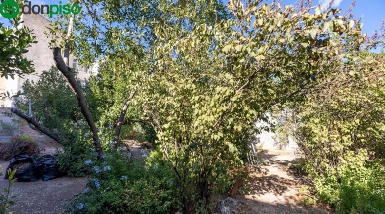 Granada - Peligros - 800m2