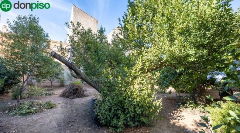 Granada - Peligros - 800m2