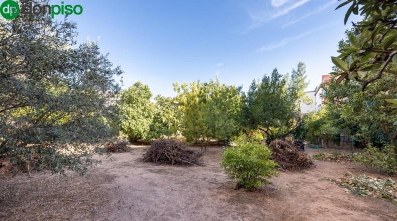 Granada - Peligros - 800m2