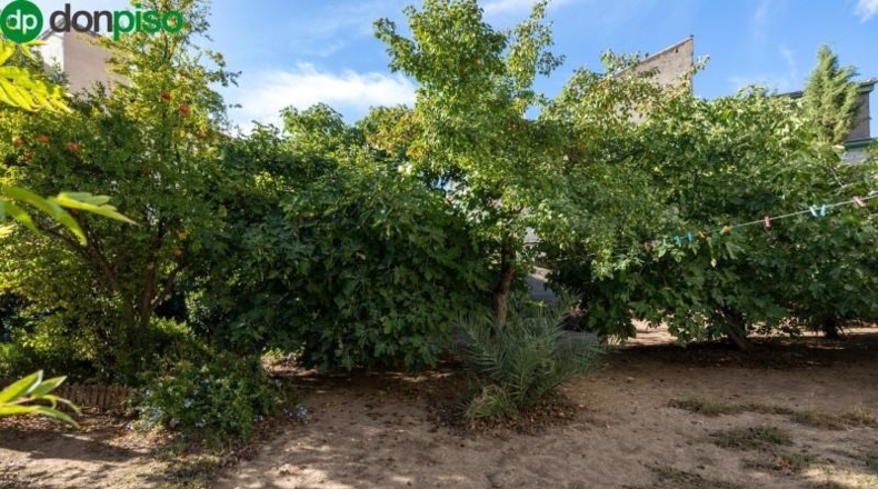 Granada - Peligros - 800m2