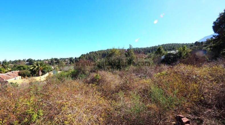 Santa Creu de Tenerife - Icod de los Vinos - 1035m2