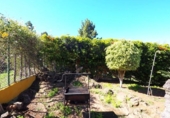 Casa de camp amb terreny en venda a la España, Icod de los Vinos, ref.: TR177107 foto