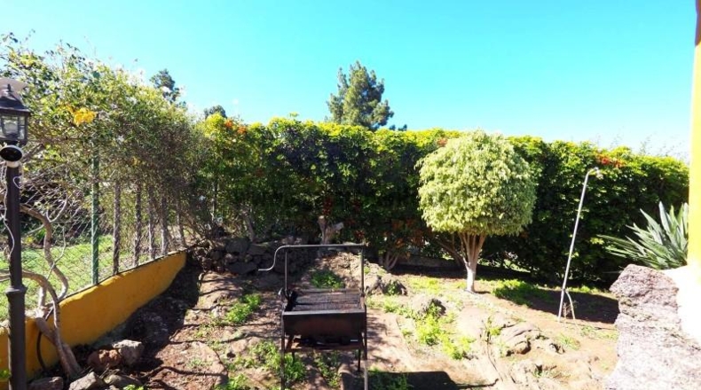 Santa Creu de Tenerife - Icod de los Vinos - 1035m2