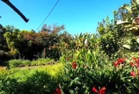 Foto 14