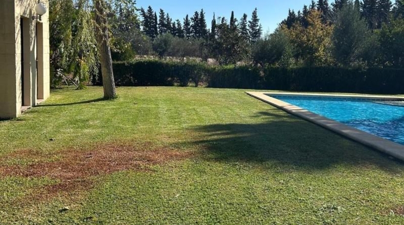 Cádiz - Chiclana de la Frontera - 17000m2