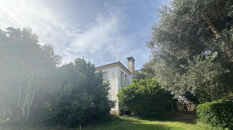 Cádiz - Benalup-Casas Viejas - 410m2