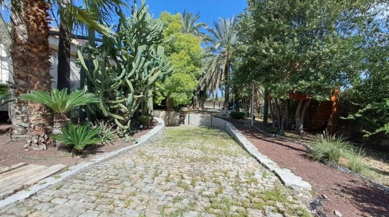 Murcia - Murcia - 1818m2