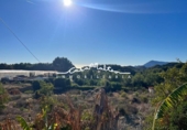 Земельный участок на продажу в городе Altea Фото