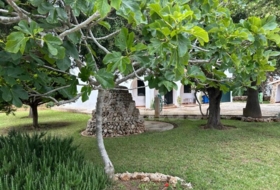 Foto 8
