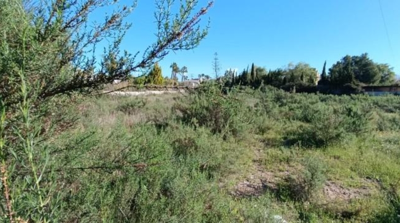 Alicante - Elche - 10000m2