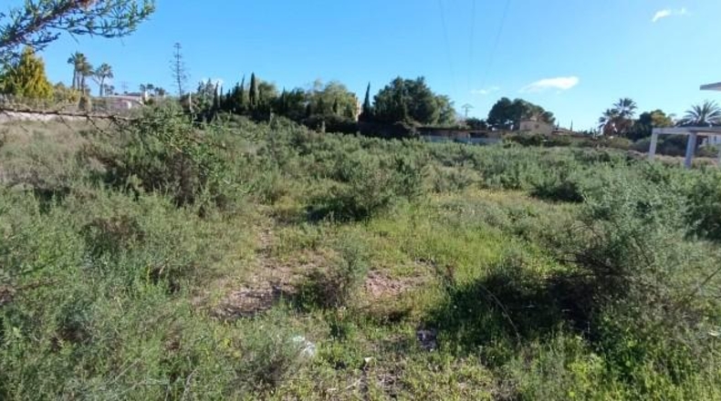 Alicante - Elche - 10000m2