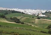 Загородный дом с участком на продажу в городе Vejer de la Frontera Фото