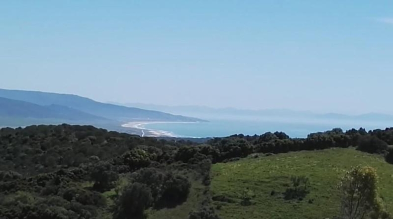 Cádiz - Vejer de la Frontera - 52000m2