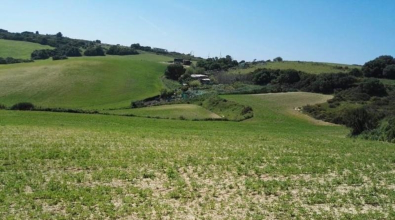 Cádiz - Vejer de la Frontera - 52000m2
