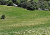 Загородный дом с участком на продажу в городе Vejer de la Frontera Фото