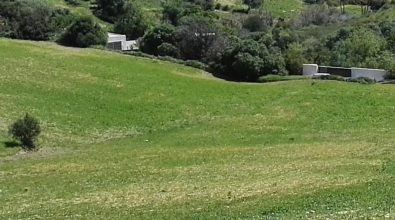 Cádiz - Vejer de la Frontera - 52000m2
