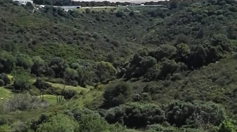 Cádiz - Vejer de la Frontera - 52000m2