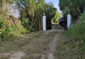 Загородный дом с участком на продажу в городе Vejer de la Frontera Фото