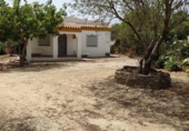 Загородный дом с участком на продажу в городе Vejer de la Frontera Фото