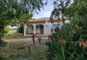Загородный дом с участком на продажу в городе Vejer de la Frontera Фото